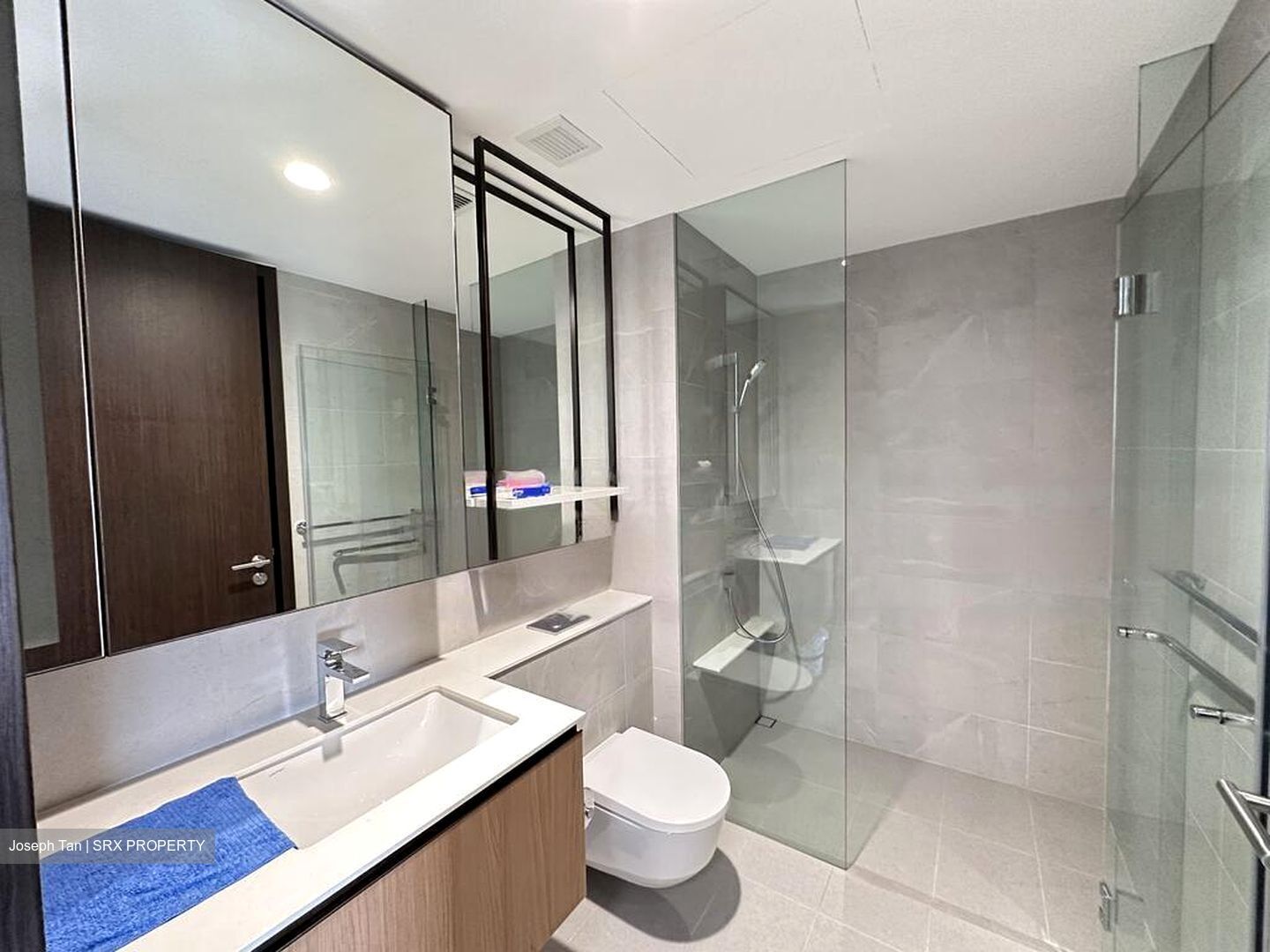 JadeScape (D20), Condominium #423446771